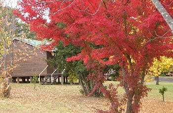 Hotel Madison'S Mountain Retreat Bilpin Exterior foto