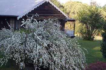 Hotel Madison'S Mountain Retreat Bilpin Exterior foto